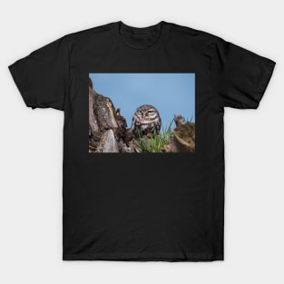 Little owl perched on at tree trunk T-Shirt